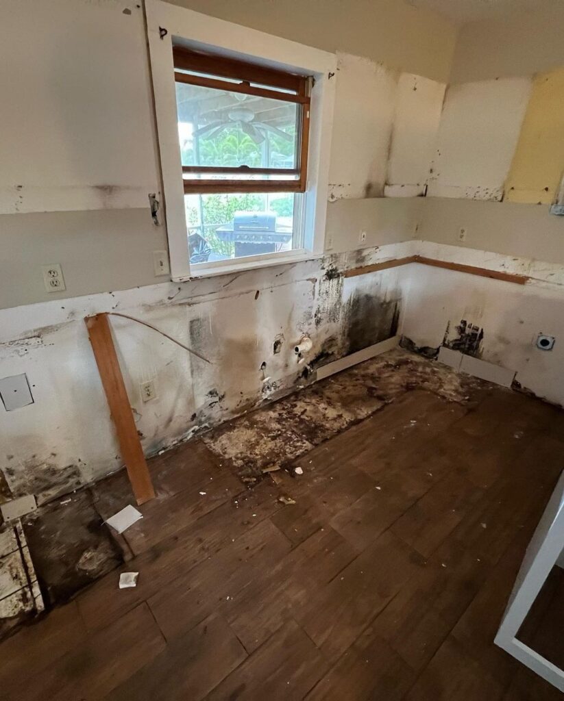 SaveClip.App_289261545_496818725463875_8928002475737974833_n