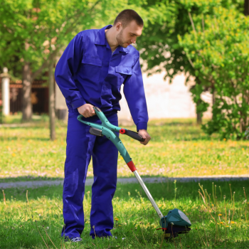 Sitio Web Servicio Inmobiliaria Blanco y Morado(2)