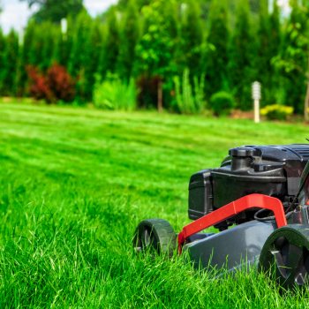 Sitio Web Servicio Inmobiliaria Blanco y Morado(3)