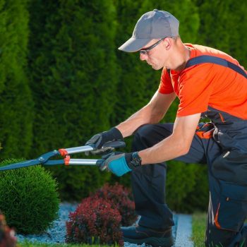 gardenservices